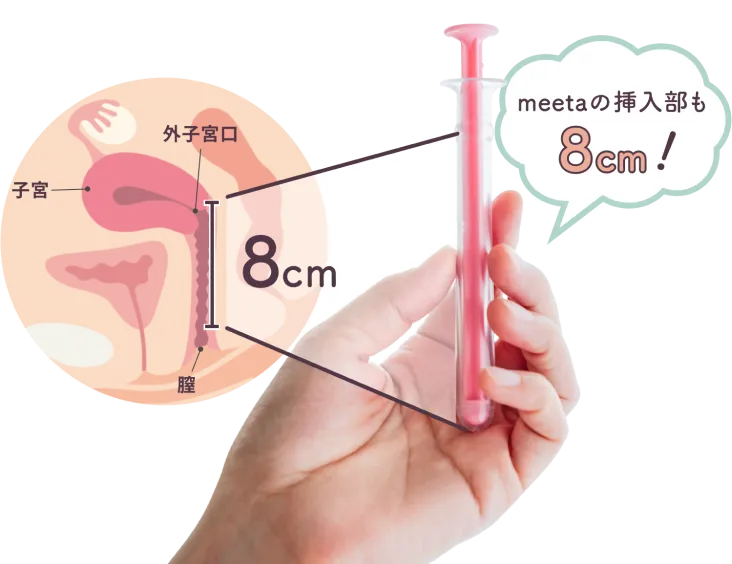 膣口から子宮子宮頸口までの長さは8㎝。meetaシリンジの挿入部も8㎝！