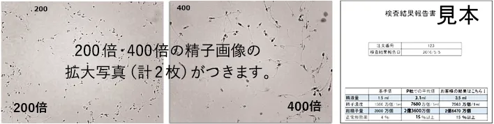 男性向け栄養補助サプリ「マイシード-亜鉛配合-forMen」のご紹介 | 妊